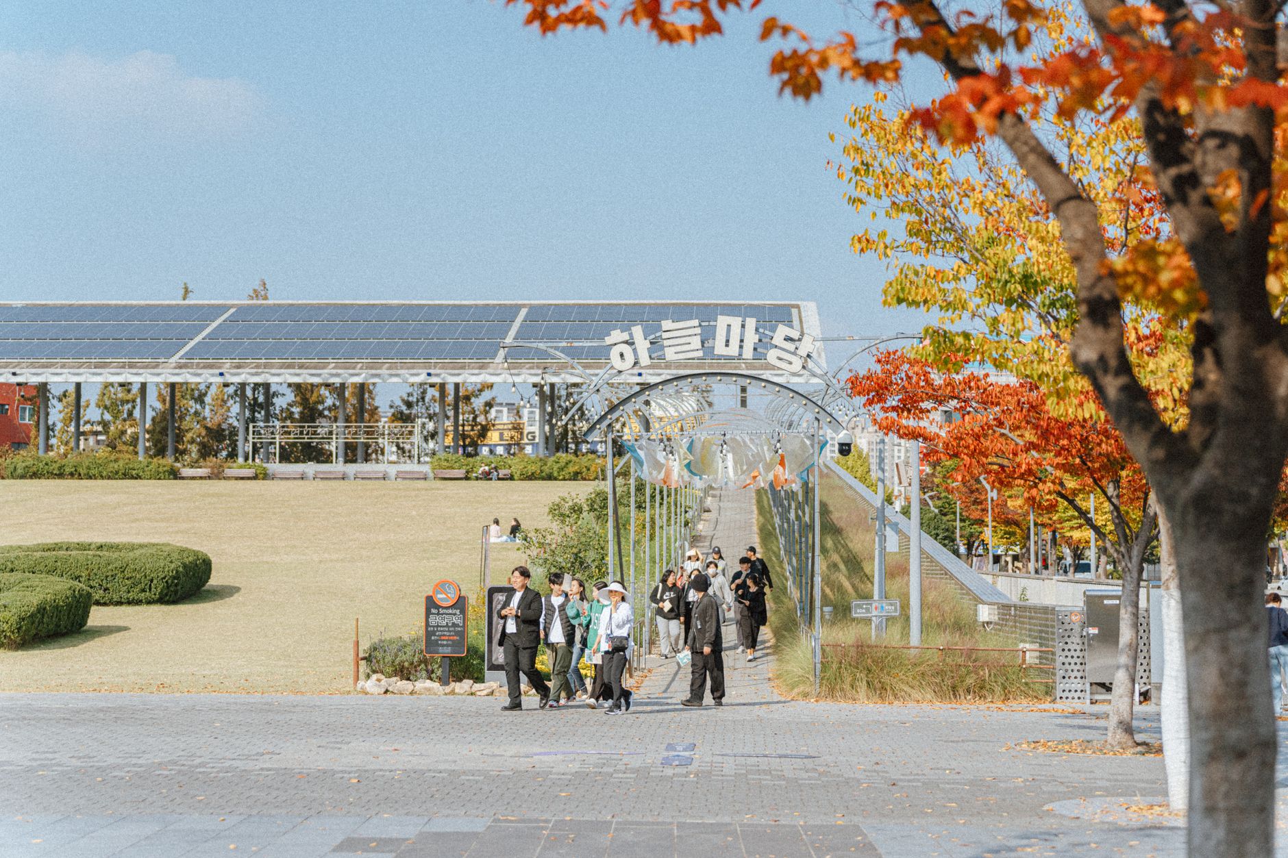 공원을 함께 걷는 중년 부부